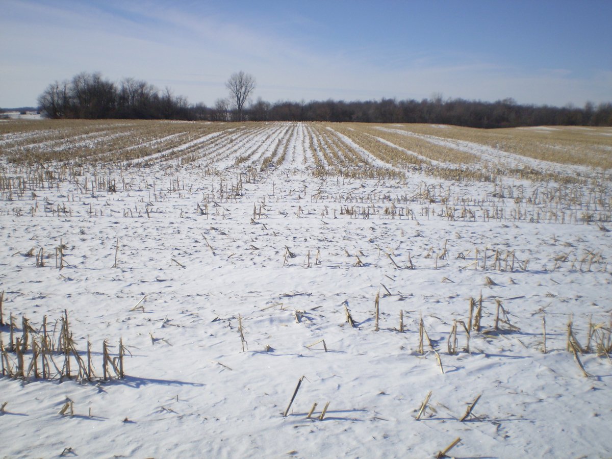 Property photo 23 - 76 Acres Offered in 4 Tracts